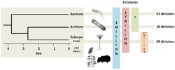 Microbial species present in the three domains of life.png