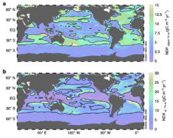 Ocean DOC production and export fluxes.png