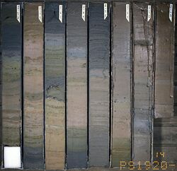 PS1920-1 0-750 sediment-core hg.jpg