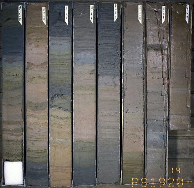 File:PS1920-1 0-750 sediment-core hg.jpg