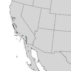 Pinus coulteri range map 1.png