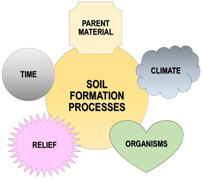 File:Soil-formation-factors-en.jpg