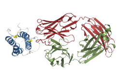 Structural basis for inhibition of TSLP-signaling by Tezepelumab.png