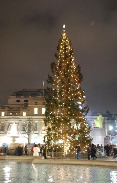 File:Trafalgar Square Christmas tree8.jpg