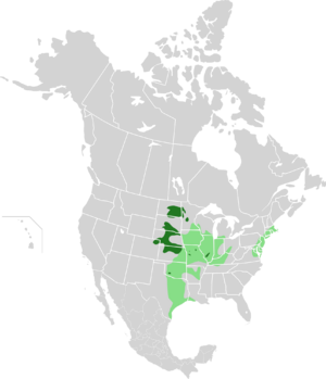 Tympanuchus cupido map.svg