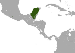 Yucatan Small-eared Shrew area.png