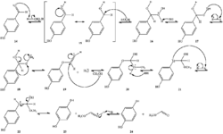 Dakin oxidation acid-catalyzed mechanism.png