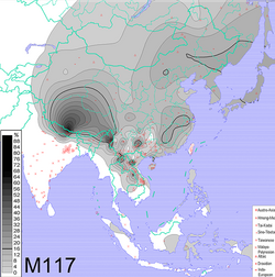 Frequencies of Y-DNA haplogroup O3-M117.png