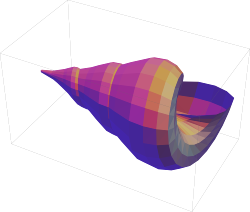 graphics complex of a seashell with gooch shading modeled in Mathematica 13.1