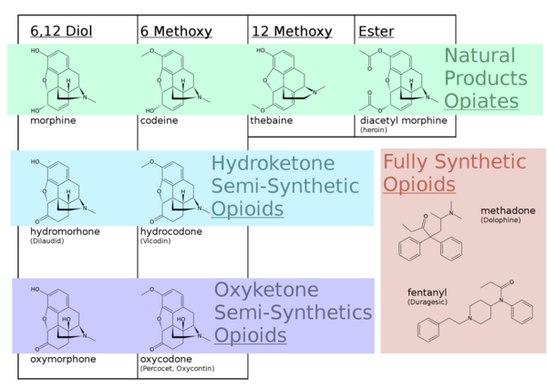 Opiates v. opioids with chemical structures indicated. Many classical opiates are also referred to as opioids in modern nomenclature.