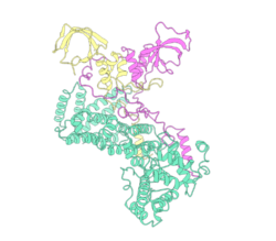 PDB-4C0D-CNOT1-2-3-TC.png