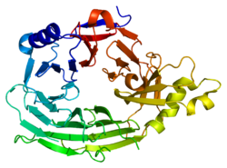 Protein NUP133 PDB 1xks.png