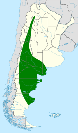 Pseudoseisura gutturalis map.svg