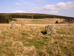 Threestone Burn stone circle - geograph.org.uk - 384800.jpg