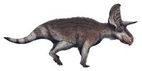 Turanoceratops tardabilis life restoration.jpg