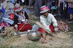 2015 Smithsonian folklife festival DC -Qeswachaka Bridge rope making - 01.jpg