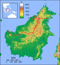 Clarias pseudonieuhofii is located in Borneo