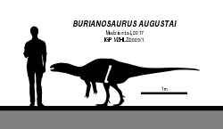 Burianosaurus Skeletal.svg