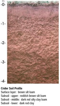 Crider soil USDA NRCS profile.jpg