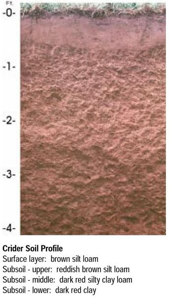 File:Crider soil USDA NRCS profile.jpg