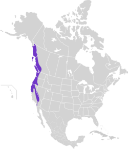 Dendragapus fuliginosus map.svg