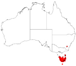 Hakea epiglottisDistMap44.png