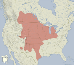 Ictidomys tridecemlineatus distribution map.png