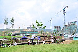 Trees being planted on the site