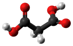 Malonic acid molecule ball from xtal.png