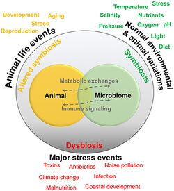 Marine animal host-microbiome relationships.jpg