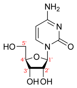 Numbered cytidine.png