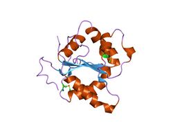 PDB 1fyv EBI.jpg