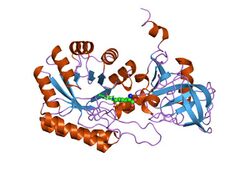 PDB 1ko0 EBI.jpg