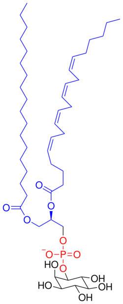 Phosphatidylinositol.svg