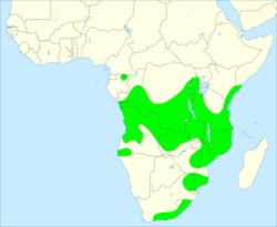 Red-necked spurfowl distribution map.svg