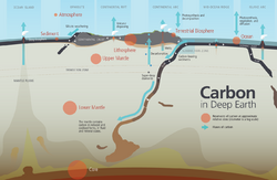 Reservoirs and fluxes of carbon in deep Earth.png