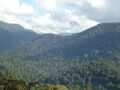 Sabarimala idduki kerala - panoramio.jpg