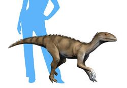Sacisaurus NT small.jpg