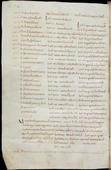 File:St. Gallen, Stiftsbibliothek, Cod. Sang. 751, p. 428.jpg