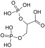 Structure of 2,3-bisphosphoglyceric acid.png