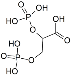 Structure of 2,3-bisphosphoglyceric acid.png