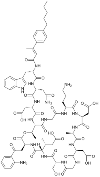 Structure of surotomycin.png