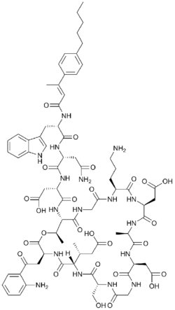 Structure of surotomycin.png