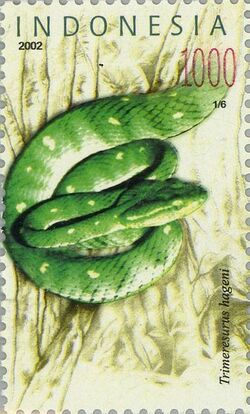 Trimeresurus hageni 2002 Indonesia stamp.jpg