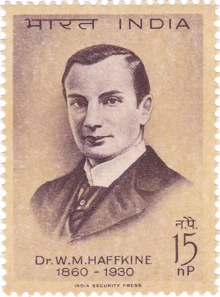 File:Waldemar Haffkine 1964 stamp of India.jpg
