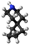 Ball-and-stick model of the azaspirodecane molecule