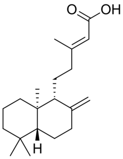 Copalic acid.svg