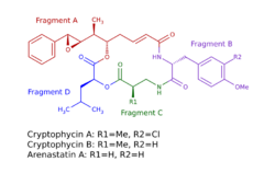 Cryptophycin structure.svg