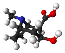 Ball-and-stick model of the ecgonine molecule