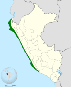 Geositta peruviana map.svg